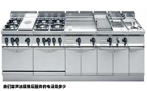 亲们容声冰箱售后服务的电话是多少