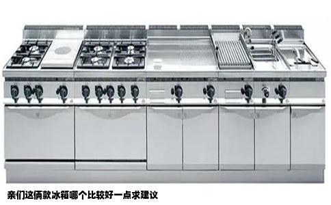 亲们这俩款冰箱哪个比较好一点求建议