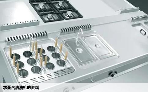 求蒸汽清洗机的资料