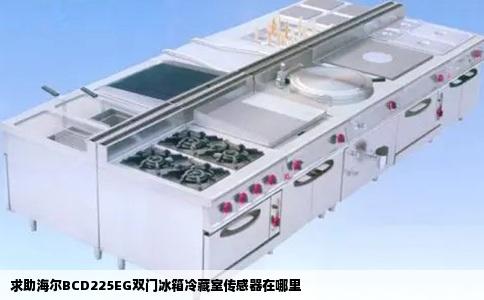 求助海尔BCD225EG双门冰箱冷藏室传感器在哪里