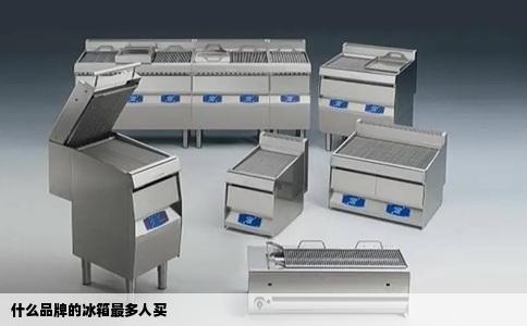 什么品牌的冰箱最多人买