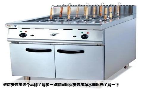 谁对安吉尔这个品牌了解多一点家里想买安吉尔净水器想先了解一下