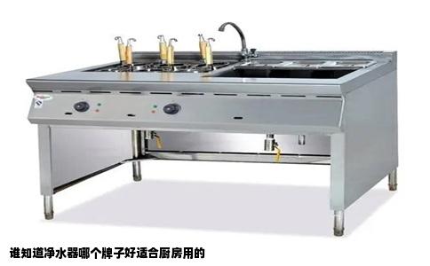 谁知道净水器哪个牌子好适合厨房用的