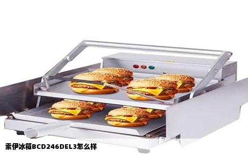 索伊冰箱BCD246DEL3怎么样