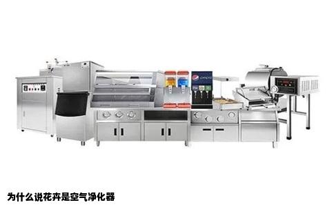 为什么说花卉是空气净化器