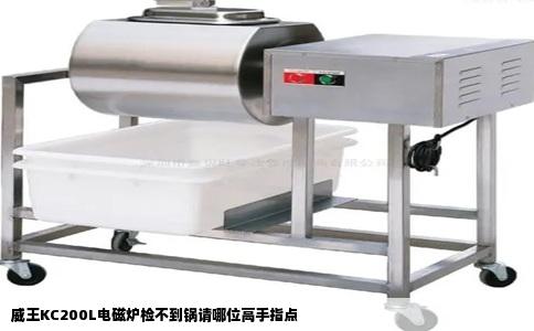 威王KC200L电磁炉检不到锅请哪位高手指点