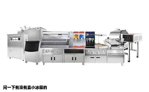 问一下有没有卖小冰箱的