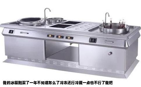 我的冰箱刚买了一年不知道怎么了冷冻还行冷藏一点也不行了我把