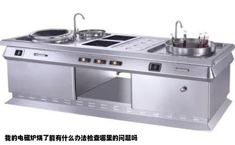 我的电磁炉烧了能有什么办法检查哪里的问题吗