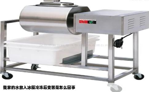 我家的水放入冰箱冷冻后变苦是怎么回事