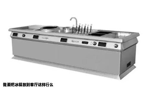 我要把冰箱放到客厅这样行么