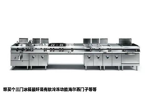 想买个三门冰箱最好是有软冷冻功能海尔西门子等等