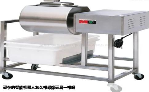 现在的智能机器人怎么样都像玩具一样吗