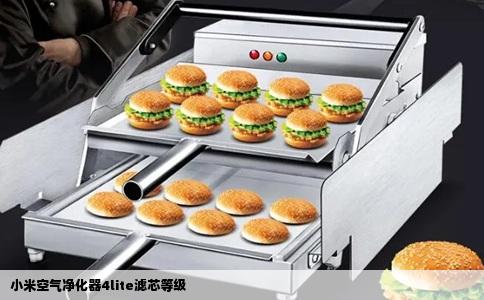 小米空气净化器4lite滤芯等级