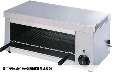 西门子bcd610w冰箱是变频冰箱吗