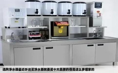 选购净水器最近听说买净水器就要买十大品牌的但是这么多哪家的