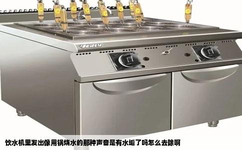 饮水机里发出像用锅烧水的那种声音是有水垢了吗怎么去除啊