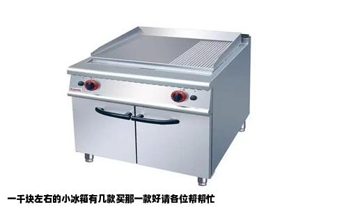 一千块左右的小冰箱有几款买那一款好请各位帮帮忙