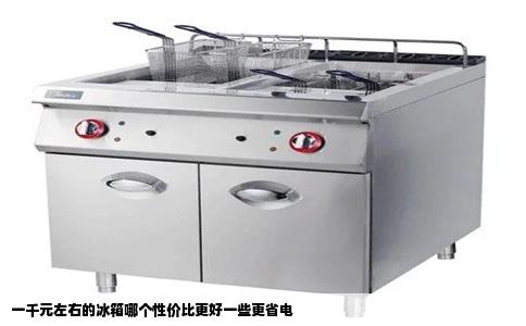 一千元左右的冰箱哪个性价比更好一些更省电