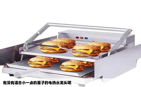 有没有适合小一点的屋子的电热水龙头呢