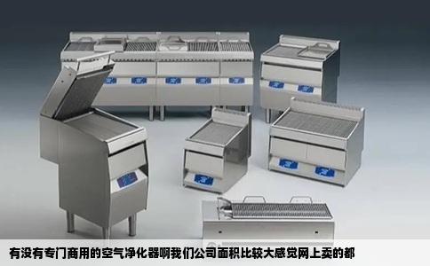 有没有专门商用的空气净化器啊我们公司面积比较大感觉网上卖的都